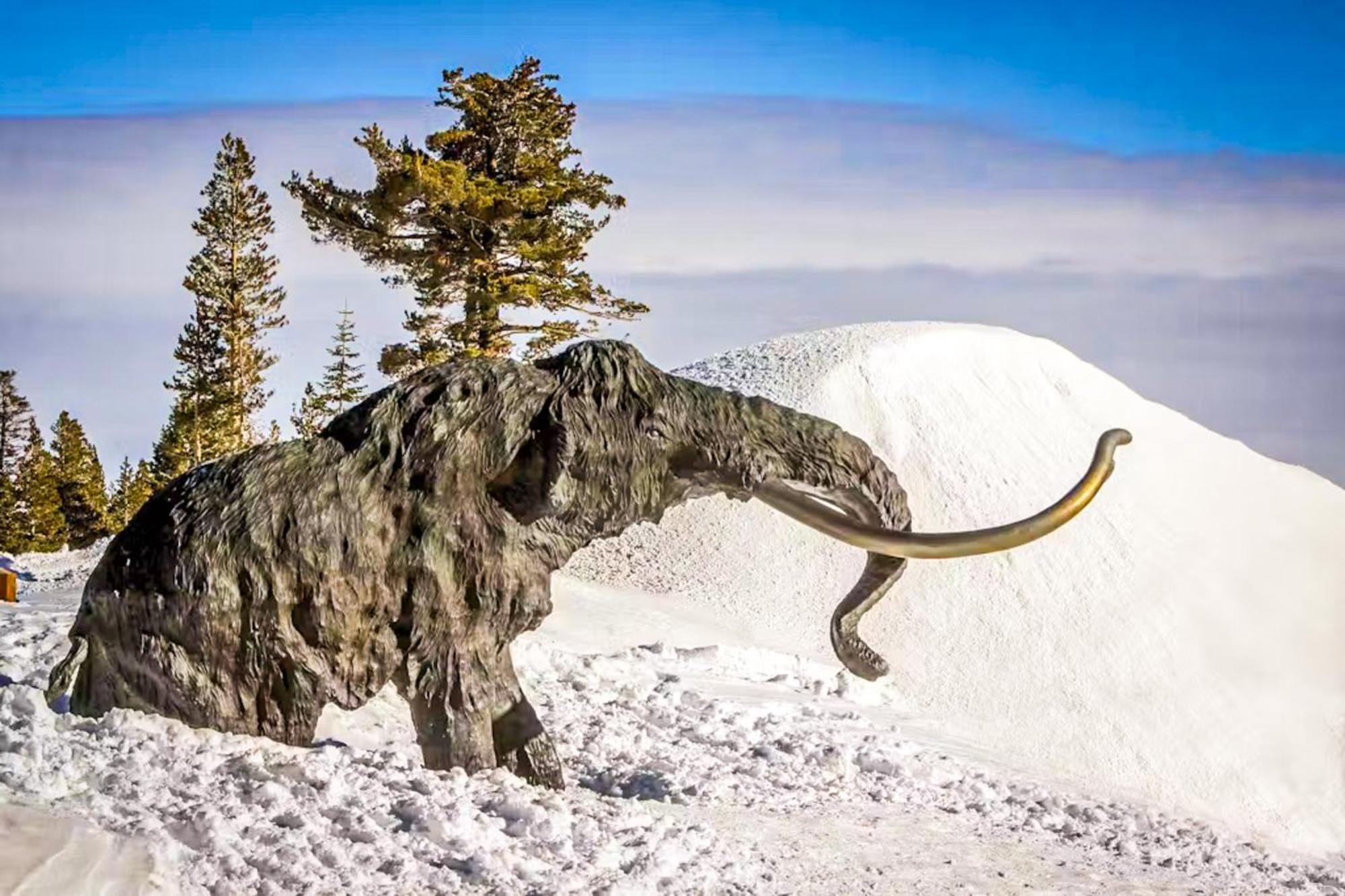 Discovery 4 119 Mammoth Lakes Extérieur photo